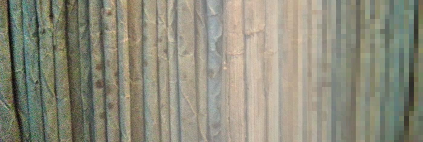 MNHN - Publications scientifiques