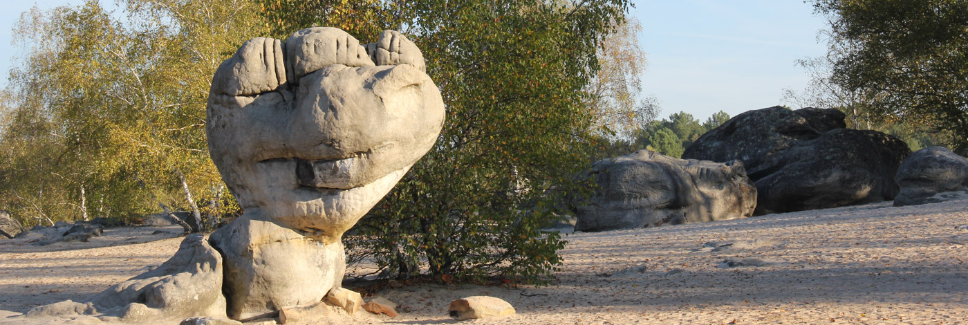 MNHN - Publications scientifiques