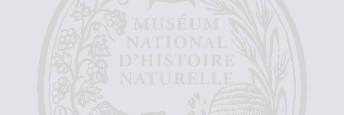 MNHN - Publications scientifiques