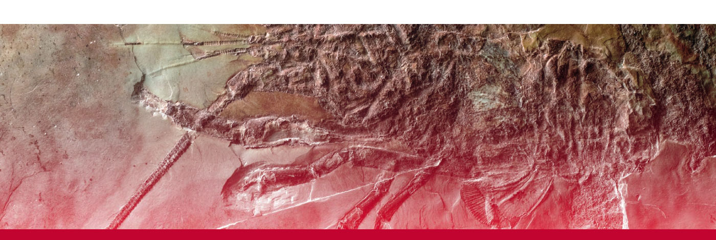 MNHN - Publications scientifiques