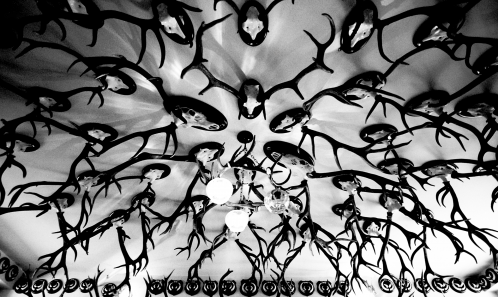 Le chasseur et son trophée : penser la relation humain-cerf par-delà la mort