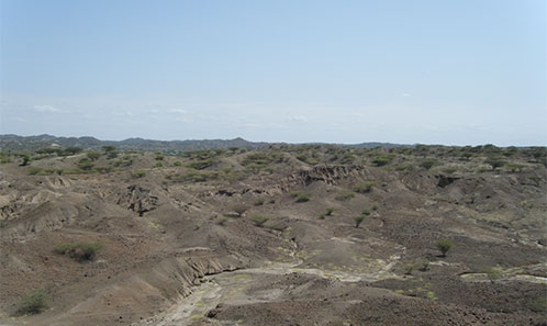 Singularité ou pluralité des artisans de l’Oldowayen au Pléistocène inférieur en Afrique de l’Est ?
