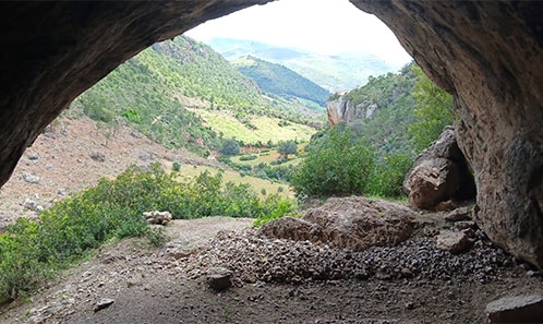 Sur les traces de l’ours brun de l’Atlas : une analyse métrique des vestiges de l’Holocène et du Pléistocène tardif du nord du Maroc