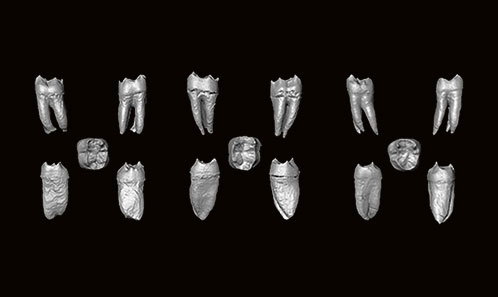 Analyse comparative de la jonction émail-dentine des molaires inférieures chez les hominines de la fin du <i>Middle Stone Age</i> du nord-ouest de l’Afrique
