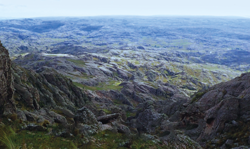 Déterminants de la diversité des lichens et de l’assemblage des communautés le long de gradients altitudinaux dans les montagnes du centre de l’Argentine