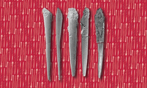 <i>Lotharingibelus</i> n. gen., un nouveau genre de bélemnites du minerai de fer de la Minette du Toarcien supérieur du NE du bassin parisien