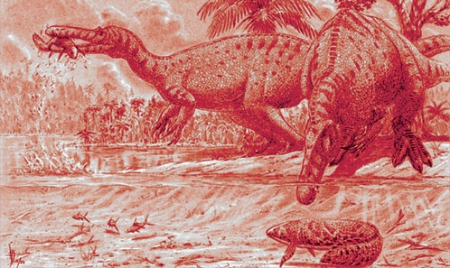 Système neurovasculaire et renouvellement dentaire du rostre des Spinosauridae : nouvelles descriptions et implications sur la sensibilité non-olfactive du museau des dinosaures