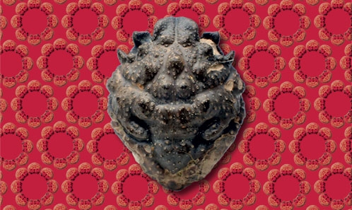 Nouveau signalement de crabes et de homards dans le Crétacé inférieur (Albien) de Haute-Marne, France