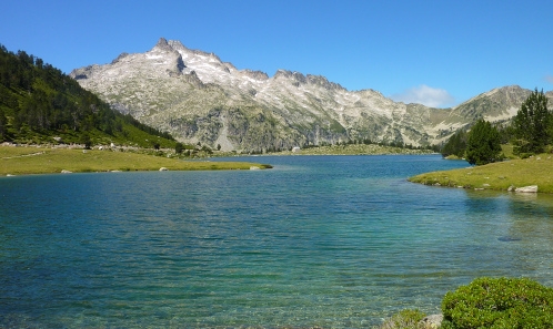 Enjeux de conservation de la macrobiodiversité des lacs de montagne français : synthèse bibliographique
