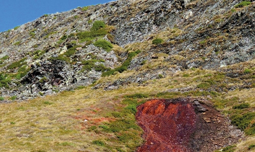 <i>Sphagnum lindbergii </i>Schimp. : une nouvelle espèce de sphaigne pour la flore ibérique