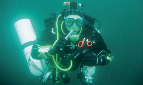 Hommage au parcours scientifique de Françoise Monniot : soixante-trois ans de recherche consacrée aux ascidies