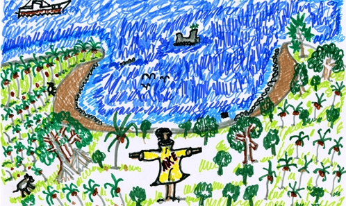 Jardins, cyclones et catastrophes