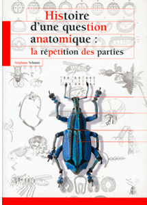Histoire d'une question anatomique