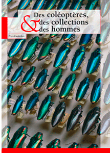 Des coléoptères, des collections et des hommes