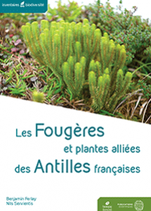 Les Fougères et plantes alliées des Antilles françaises