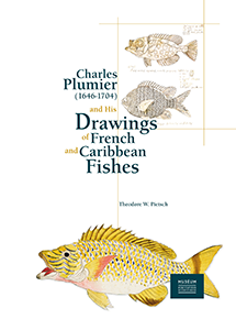 Charles Plumier (1646-1704) et ses dessins de poissons de France et des Antilles
