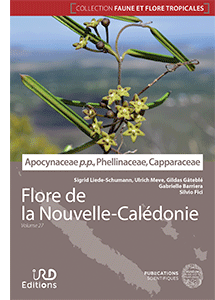 Apocynaceae p.p., Phellinaceae, Capparaceae