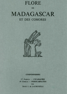 Cycadaceae, Podocarpaceae