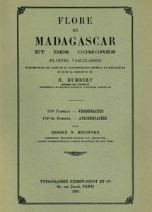 Verbenaceae, Avicenniaceae