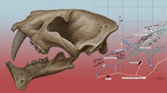 Mémoires du Muséum national d'Histoire naturelle