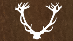 anthropozoologica-2025-vol60-fasc2-thematique