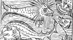 anthropozoologica 2018, vol. 53, fasc. 2 (them. Gauvin et al.)