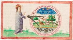 anthropozoologica-2020-vol55-them-categories