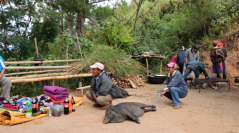 anthropozoologica-2021-vol56-fasc-suides