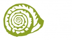 naturae2020-f1-them-malaco