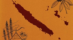 Pittosporaceae