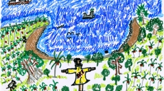 Jardins, cyclones et catastrophes