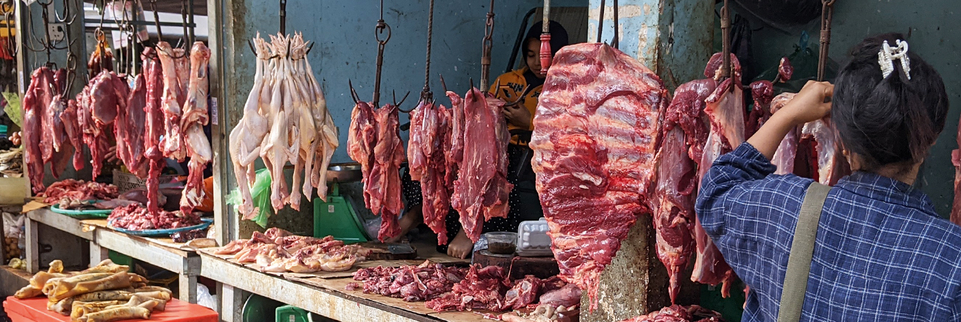 <div>Animal trafficking and wildlife markets</div>