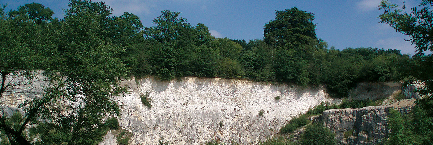 <div>Lutetian Stratotype</div>